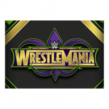 WWE WrestleMania 34 (Banners)